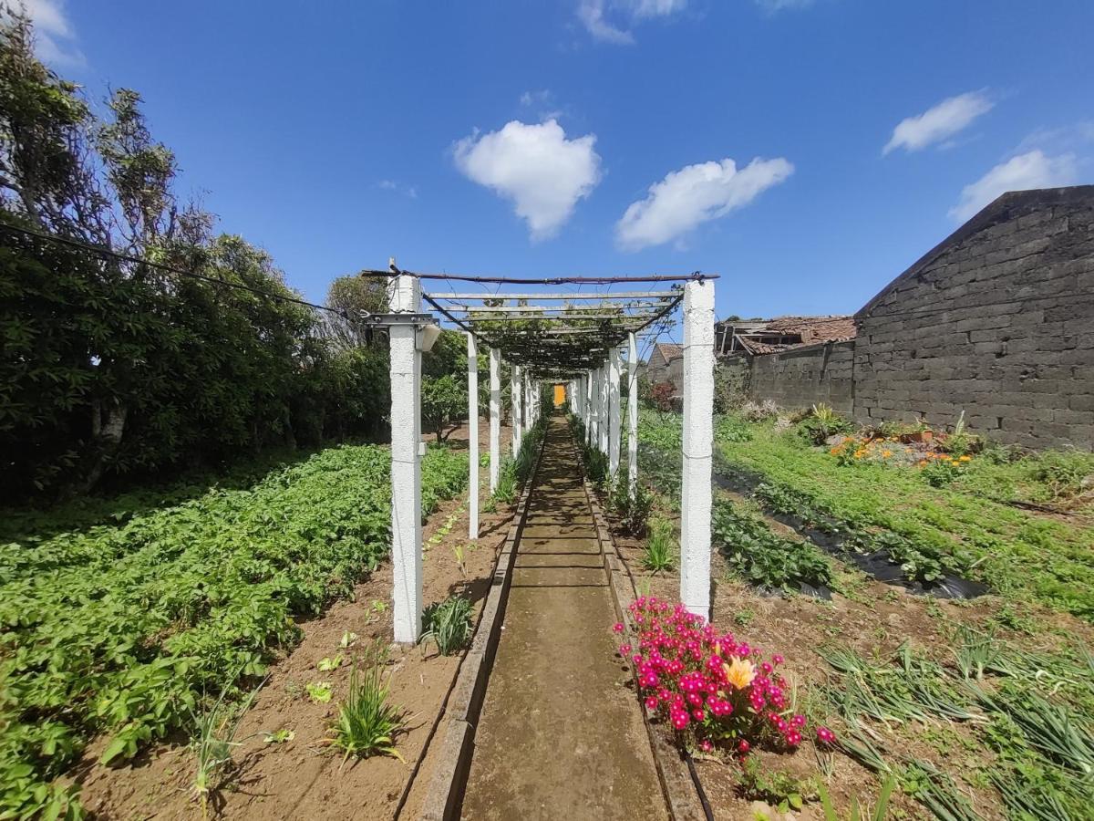 Вилла Casa Amarela De Santana Рибейра-Гранди Экстерьер фото